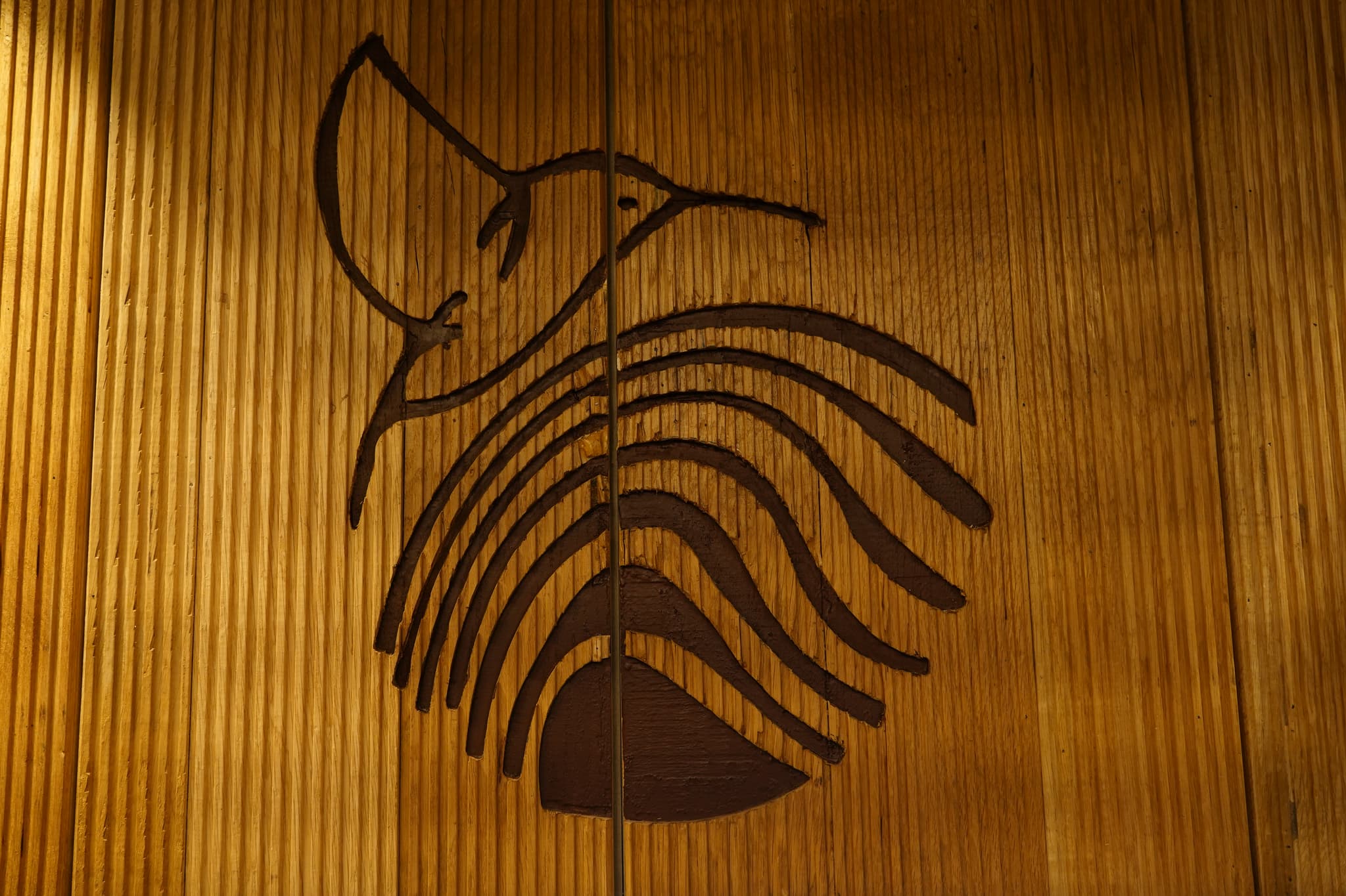 Wood Rings Background