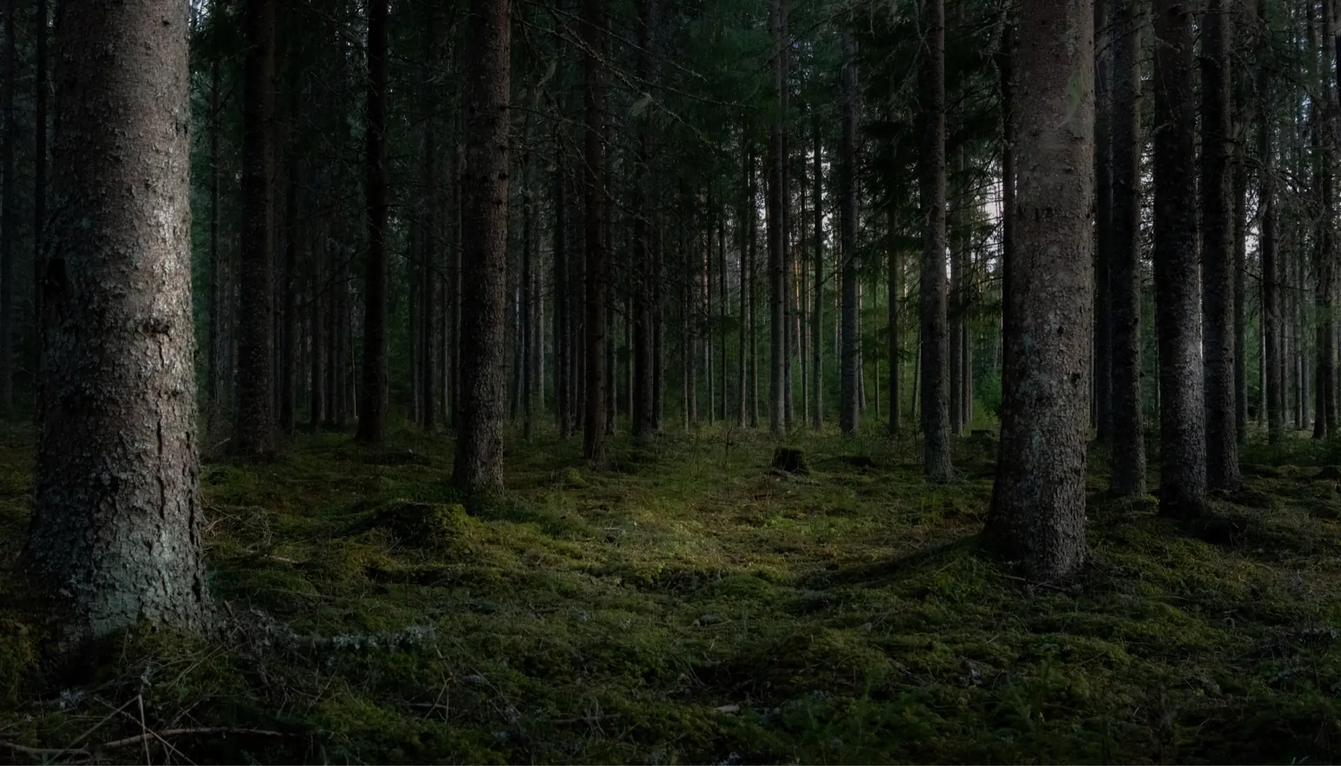 About Us Background