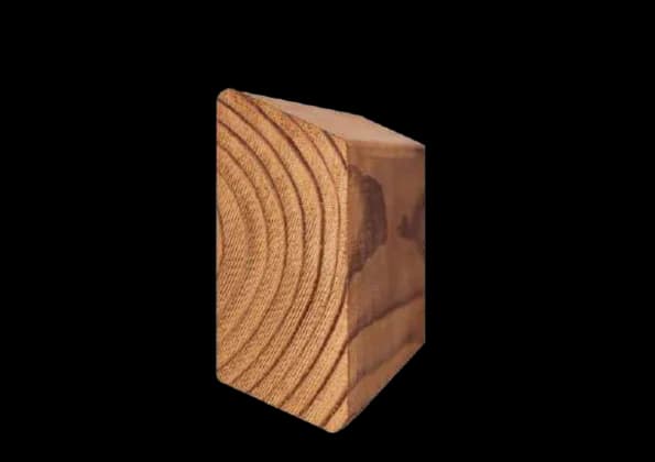 Thermo Pine